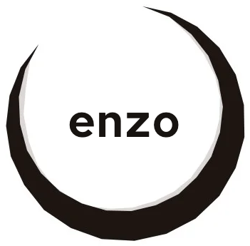 enzo — crescent logo